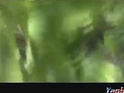 provokes Voyeur