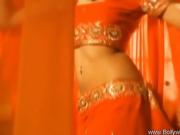 Pretty Indian Girl Strips To Expose Her Body