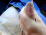 Hand jobb i bilen :-