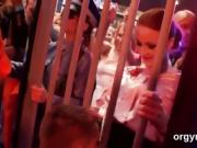 Ideal beauties suck dick and enjoy pounding and groupsex