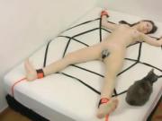 Brunette tripped in spider web