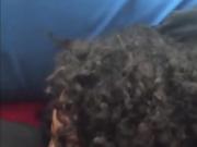 Ebony MILF blowing two white cocks