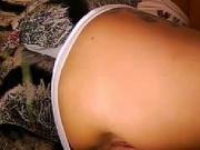Bulgarian show webcam 2