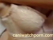 Chinese Couple Hot Room Sex