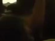 Interracial breeding