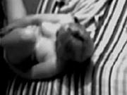 Wank with dildo in ass. Hidden camera