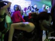 Slutty cuties get entirely wild and naked at hardcore party