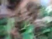Girl beeing fucked in the woods
