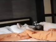 Horny brother drills and eats sisters juices