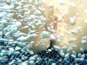 Underwater Bareback Sex With Postop Poppy