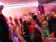 Nasty nymphos get absolutely insane and undressed at hardcore