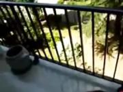 Caught fucking my sister in the balcony