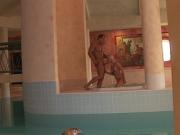 Blonde babe gets fucked on the sunbed by muscular guy