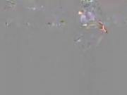 Pigtailed girl displays her yummy pussy on livecam