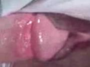pantys blancos
