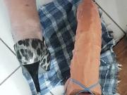 dildo shoe insertion