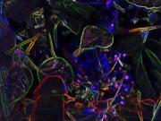 157 Gully Wompus xxx sex muisc