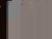 Sexy Schlampen 40 - bostero