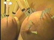 fat udders pierced with needles