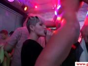 Cocksucking euro babe doggystyled at party