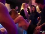 Cute honeys give a head and enjoy banging and sex orgy