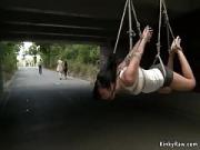 Sweetie Suspended From a Bridge in Public