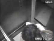 They Banged in The Elevator