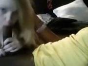 Oral-Sex from my sexy white gal