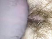 Epic 1 microdick tries to fuck a hairy vagina pussy