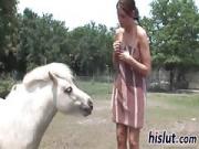 Busty harlot rides on a donkey