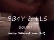 Hubby, Sweet Wife, Lover Bull