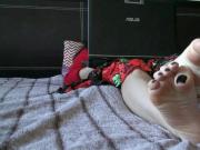 Hanging out on her laptop and stretching out toes
