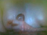Cumming over tit