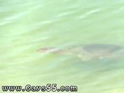 Gay mens black boner horny sexy porn men and roxy red full porn We woo