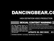 Dancing Bear makes those panties wet!! db13820