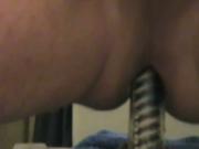dildo in my ass 2