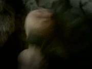 FAP FAP :