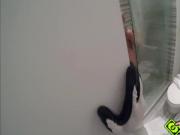 Hot naked chick Sydney Cole gets laid by a criminal in the bathroom